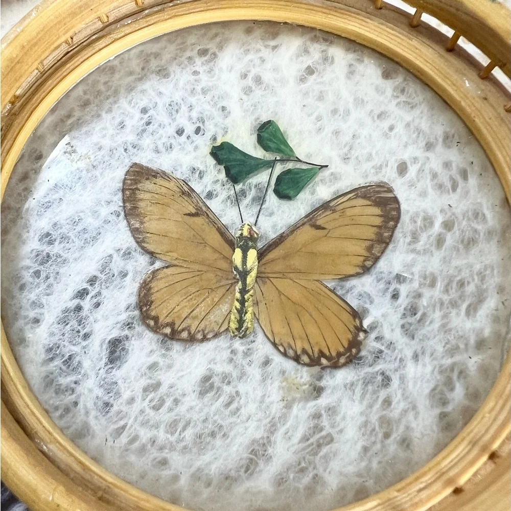 Vintage Round Pressed Butterfly Bar‎ Tray & Coaster Set Bamboo fern leaf retro